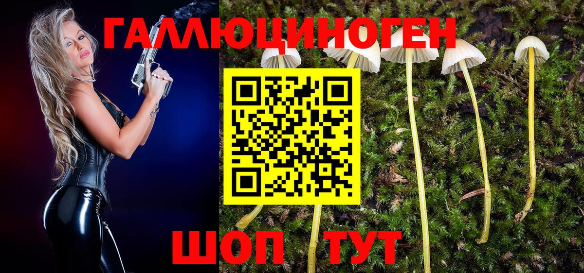 Псилоцибиновые грибы Psilocybe Мелеуз